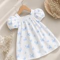 Blue Butterfly Rosaline Dress